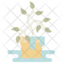 پیش‌نمایش فایل overwatering-7932094 از پک باغبانی شهری