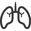 پیش‌نمایش فایل lungs-53 از پک بدن انسان