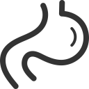 پیش‌نمایش فایل stomach-48 از پک بدن انسان
