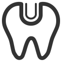 پیش‌نمایش فایل tooth-86 از پک بدن انسان