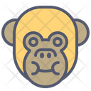 پیش‌نمایش فایل monkey-1496785 از پک حیوانات
