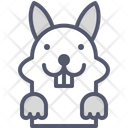 پیش‌نمایش فایل rabbit-1496765 از پک حیوانات