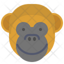 پیش‌نمایش فایل monkey-1496850 از پک حیوانات