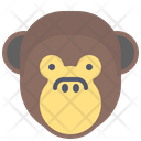پیش‌نمایش فایل monkey-1496852 از پک حیوانات