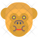 پیش‌نمایش فایل monkey-1496858 از پک حیوانات