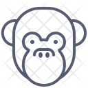 پیش‌نمایش فایل monkey-1496912 از پک حیوانات