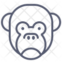 پیش‌نمایش فایل monkey-1496915 از پک حیوانات