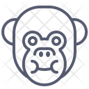 پیش‌نمایش فایل monkey-1496918 از پک حیوانات