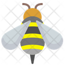 پیش‌نمایش فایل bee-1508504 از پک اکولوژی