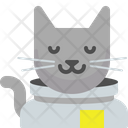 پیش‌نمایش فایل astronaut-cat-1513618 از پک فضا و آب‌وهوا