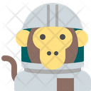 پیش‌نمایش فایل astronaut-monkey-1513614 از پک فضا و آب‌وهوا