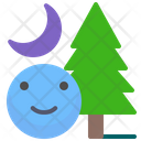 پیش‌نمایش فایل forest-night-1514327 از پک سفر