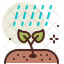 پیش‌نمایش فایل rain-2922882 از پک بهار