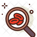 پیش‌نمایش فایل search-bacteria-2922773 از پک ویروس کرونا