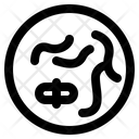 پیش‌نمایش فایل chromosome-3018356 از پک کالبدشناسی