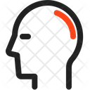 پیش‌نمایش فایل head-3018283 از پک کالبدشناسی