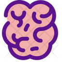 پیش‌نمایش فایل brain-3018241 از پک کالبدشناسی