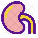 پیش‌نمایش فایل kidney-3018218 از پک کالبدشناسی