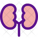 پیش‌نمایش فایل kidneys-3018217 از پک کالبدشناسی