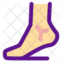 پیش‌نمایش فایل leg-3018216 از پک کالبدشناسی