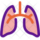 پیش‌نمایش فایل lungs-3018213 از پک کالبدشناسی