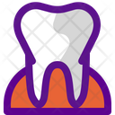 پیش‌نمایش فایل tooth-3018224 از پک کالبدشناسی