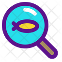 پیش‌نمایش فایل find-fish-3018035 از پک ماجراجویی