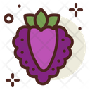 پیش‌نمایش فایل boysenberry-raspberry-3031429 از پک میوه‌ها
