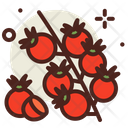 پیش‌نمایش فایل tomato-3031425 از پک میوه‌ها