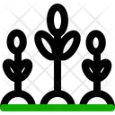 پیش‌نمایش فایل garden-3030811 از پک کشاورزی