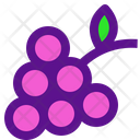 پیش‌نمایش فایل grapes-3049929 از پک پاریس