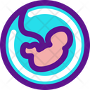 پیش‌نمایش فایل fetus-3050227 از پک بارداری