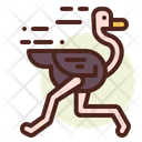 پیش‌نمایش فایل ostrich-3090683 از پک پرندگان