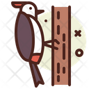 پیش‌نمایش فایل woodpecker-3090672 از پک پرندگان
