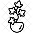 پیش‌نمایش فایل ivy-3110830 از پک گیاهان