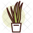 پیش‌نمایش فایل aloe-pot-3110802 از پک گیاهان