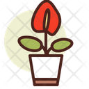 پیش‌نمایش فایل anthurium-3110801 از پک گیاهان