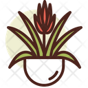 پیش‌نمایش فایل bromeliad-3110797 از پک گیاهان