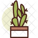پیش‌نمایش فایل cactus-3110779 از پک گیاهان