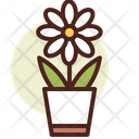 پیش‌نمایش فایل daisy-3110791 از پک گیاهان