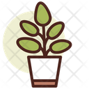 پیش‌نمایش فایل ficus-3110786 از پک گیاهان