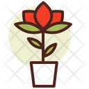 پیش‌نمایش فایل rose-3110767 از پک گیاهان