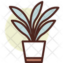 پیش‌نمایش فایل sansevieria-3110765 از پک گیاهان