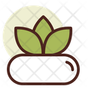 پیش‌نمایش فایل succulent-3110757 از پک گیاهان