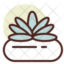 پیش‌نمایش فایل succulent-3110760 از پک گیاهان