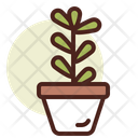 پیش‌نمایش فایل succulent-3110777 از پک گیاهان