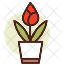 پیش‌نمایش فایل tulip-3110755 از پک گیاهان