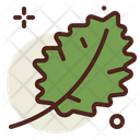 پیش‌نمایش فایل leaf-3144928 از پک سبزیجات