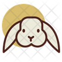 پیش‌نمایش فایل rabbit-3200486 از پک باغ وحش