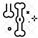پیش‌نمایش فایل bones-3394811 از پک اندام‌ها